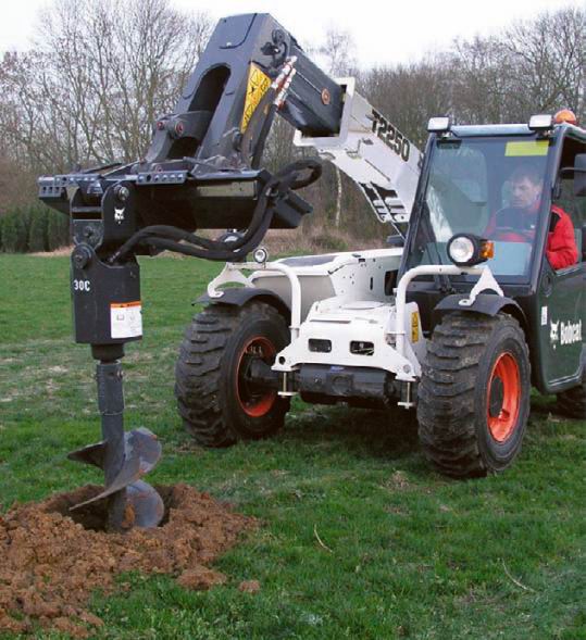       Bobcat