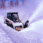   BobCat